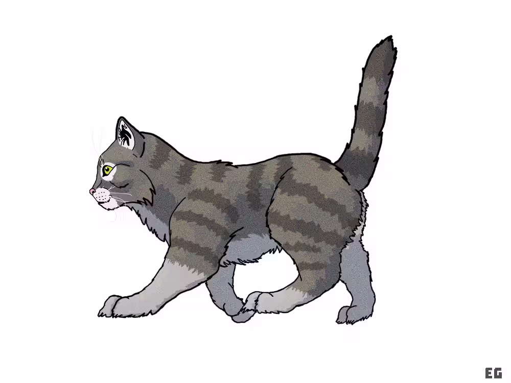 Cat illustration