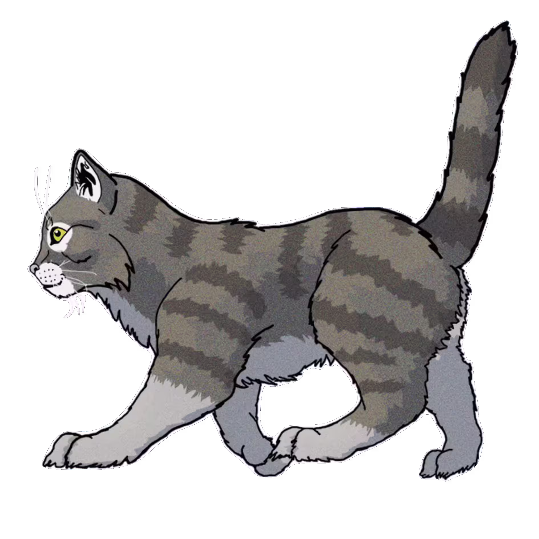 Cat Illustration